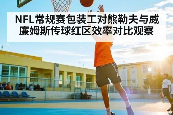 NFL常规赛包装工对熊勒夫与威廉姆斯传球红区效率对比观察
